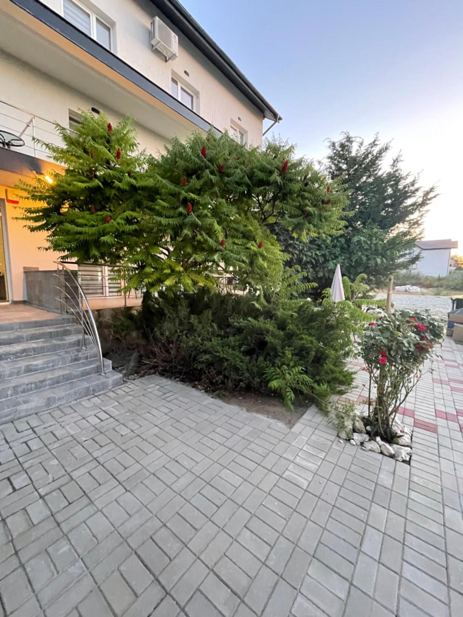 Dekor Hotel Costinesti Bagian luar foto
